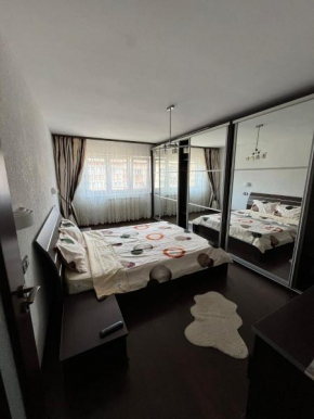 Alpin Apartament